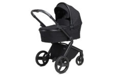 Anex L Type – Carucior 2 in 1 ONYX